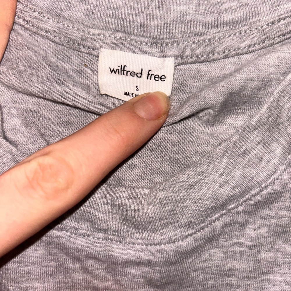 Wilfred free basic crop - Picture 2 of 2